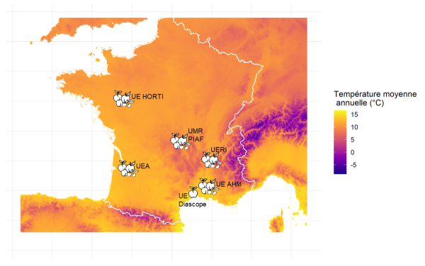carte_DIVAE